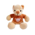 Baby Teddy Brown